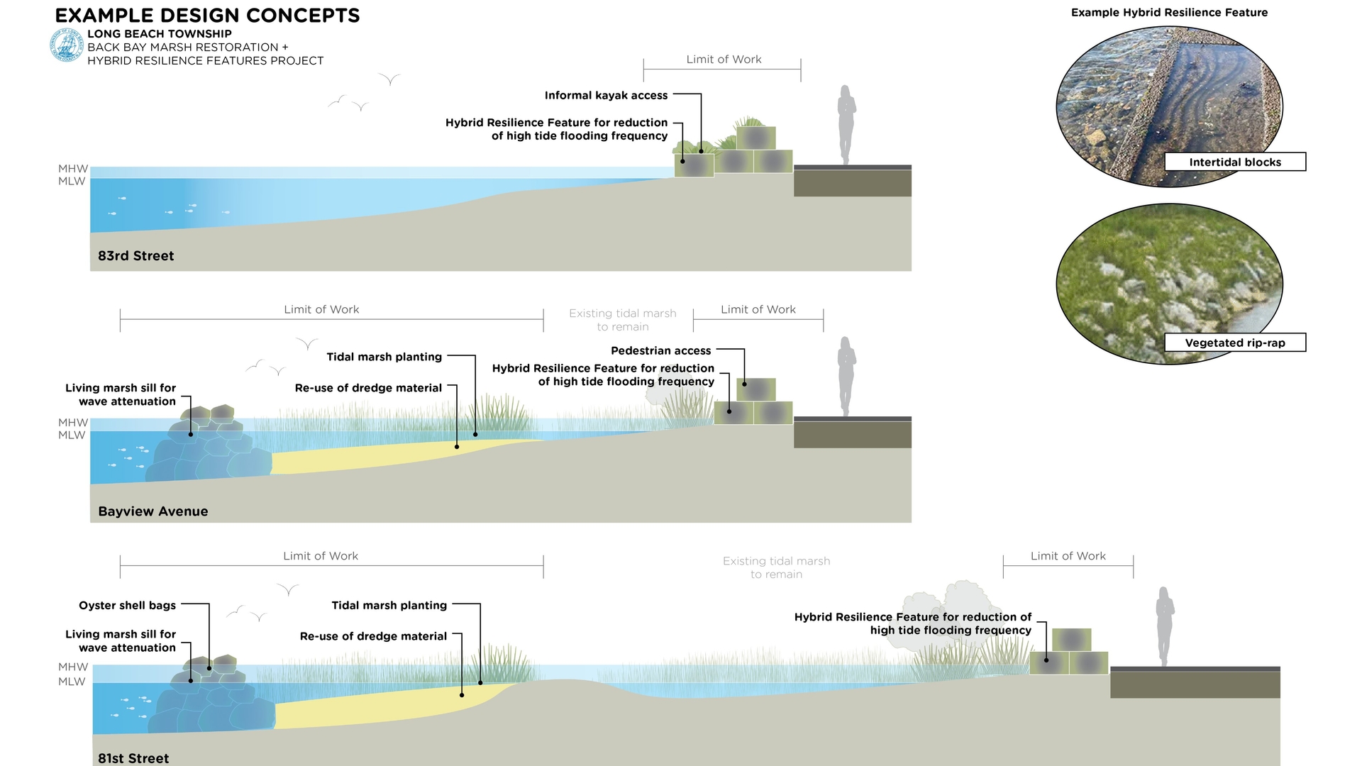 Long Beach Township DPW Living Shoreline