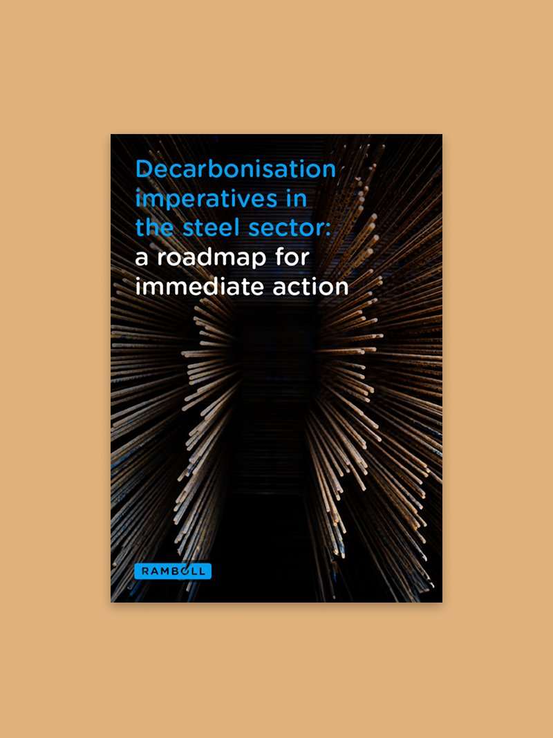 Decarbonisation imperatives in the steel sector: a roadmap for immediate action.